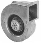 G2E146-BF05-29